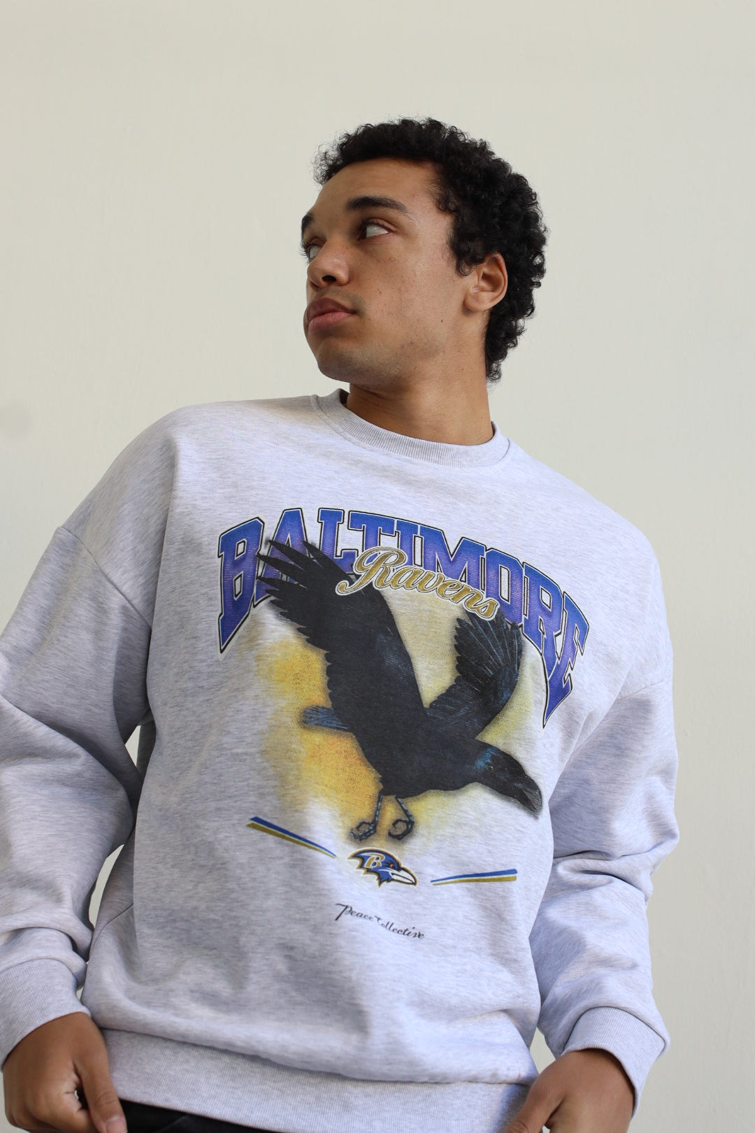 Baltimore Ravens Mascot SuperHeavy™️ Crewneck - Ash