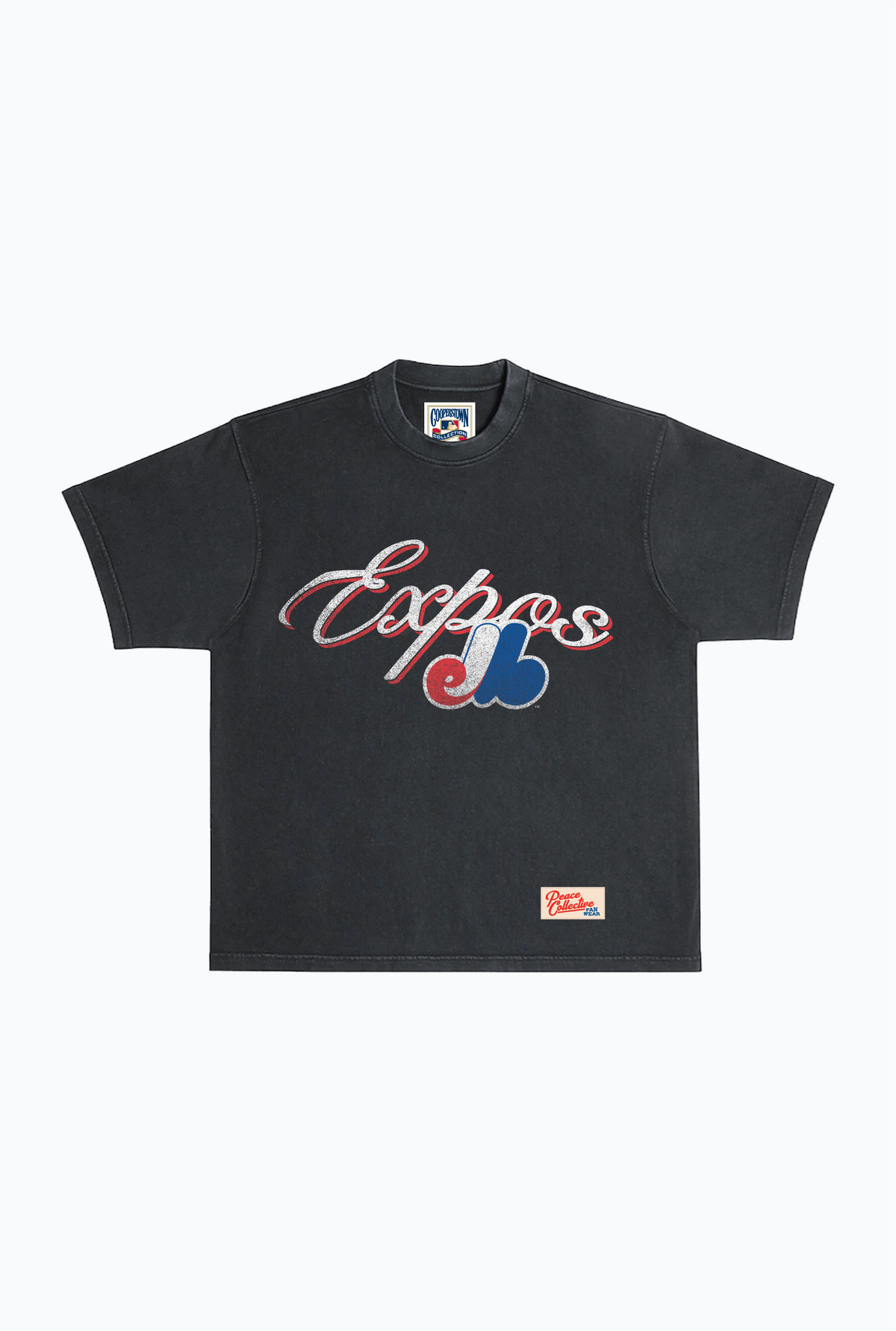 Montreal Expos Vintage Heavyweight Garment Dyed T-Shirt - Black