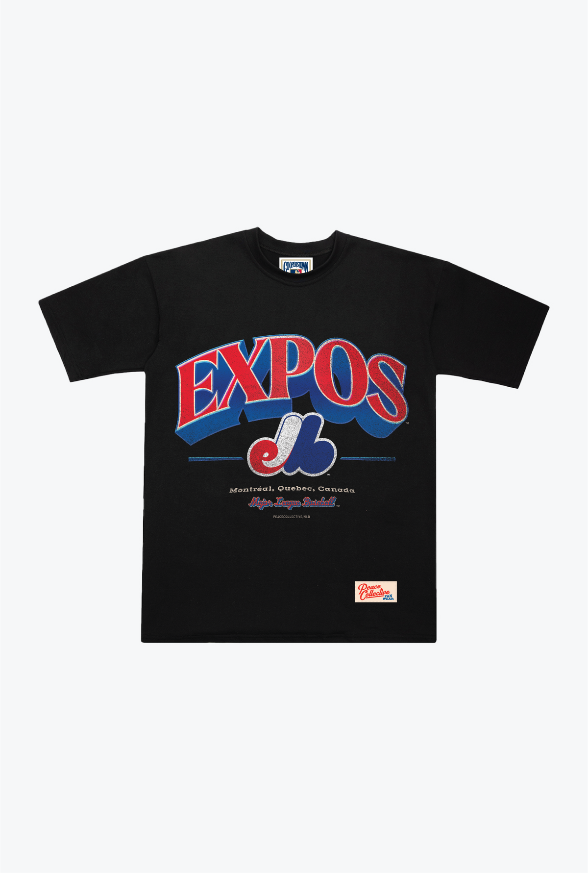 Montreal Expos Vintage Graphic Heavyweight T-Shirt - Black