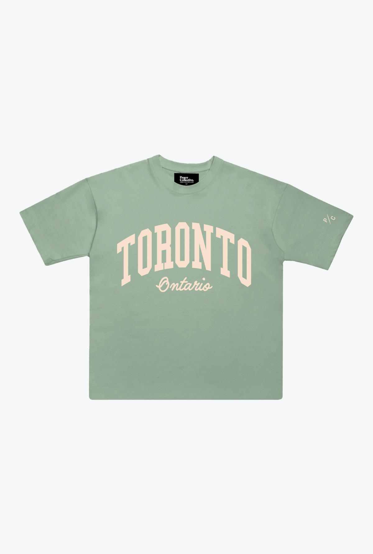 Toronto Tourist Heavyweight Garment Dyed T-Shirt - Eucalyptus