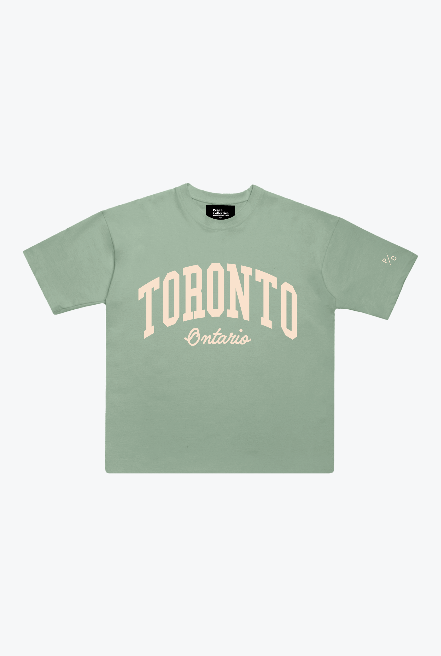 Toronto Tourist Heavyweight Garment Dyed T-Shirt - Eucalyptus