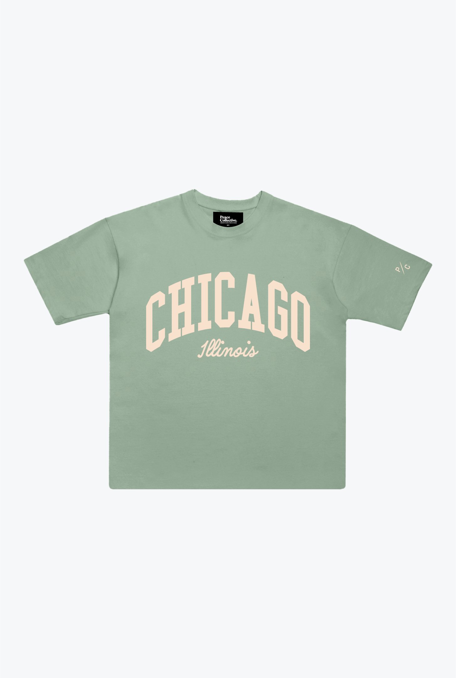 Chicago Tourist T-Shirt - Eucalyptus