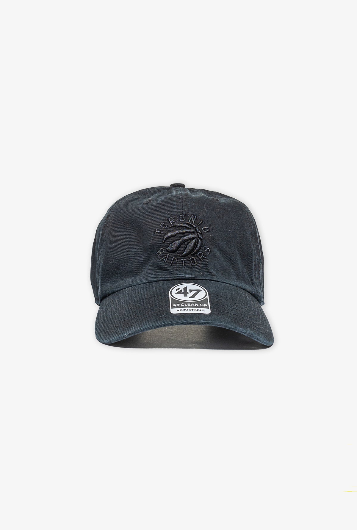 Toronto Raptors Clean Up Cap - Black/Black